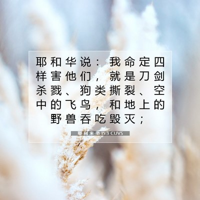 Picture 07 - 耶 利 米 书 15:3 CUVS - 耶 和 华 说 ： 我 命 定 四 样 害 他 - Bible Verse Picture