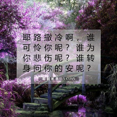 Picture 07 - 耶 利 米 书 15:5 CUVS - 耶 路 撒 冷 啊 ， 谁 可 怜 你 呢 ？ - Bible Verse Picture