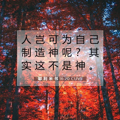 Picture 07 - 耶 利 米 书 16:20 CUVS - 人 岂 可 为 自 己 制 造 神 呢 ？ 其 - Bible Verse Picture