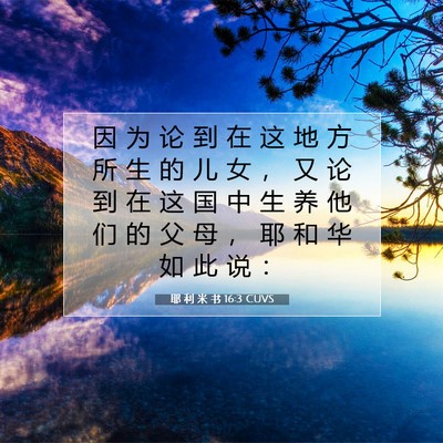 Picture 07 - 耶 利 米 书 16:3 CUVS - 因 为 论 到 在 这 地 方 所 生 的 儿 - Bible Verse Picture
