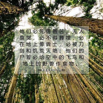 Picture 07 - 耶 利 米 书 16:4 CUVS - 他 们 必 死 得 甚 苦 ， 无 人 哀 哭 - Bible Verse Picture