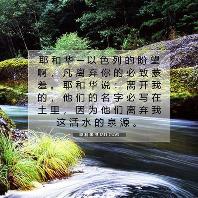 Picture 07 - 耶 利 米 书 17:13 CUVS - 耶 和 华 ─ 以 色 列 的 盼 望 啊 ， - Bible Verse Picture