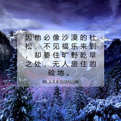 Picture 07 - 耶 利 米 书 17:6 CUVS - 因 他 必 像 沙 漠 的 杜 松 ， 不 见 - Bible Verse Picture