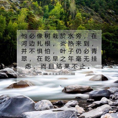 Picture 07 - 耶 利 米 书 17:8 CUVS - 他 必 像 树 栽 於 水 旁 ， 在 河 边 - Bible Verse Picture