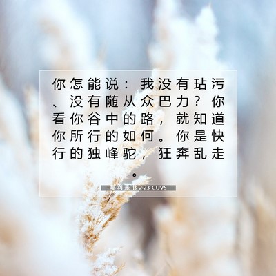 Picture 07 - 耶 利 米 书 2:23 CUVS - 你 怎 能 说 ： 我 没 有 玷 污 、 没 - Bible Verse Picture