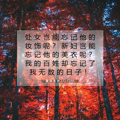 Picture 07 - 耶 利 米 书 2:32 CUVS - 处 女 岂 能 忘 记 他 的 妆 饰 呢 ？ - Bible Verse Picture