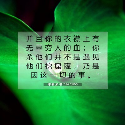 Picture 07 - 耶 利 米 书 2:34 CUVS - 并 且 你 的 衣 襟 上 有 无 辜 穷 人 - Bible Verse Picture