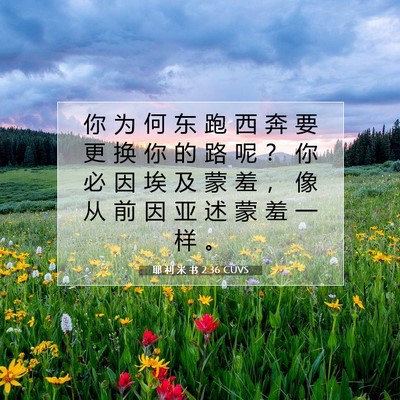 Picture 07 - 耶 利 米 书 2:36 CUVS - 你 为 何 东 跑 西 奔 要 更 换 你 的 - Bible Verse Picture