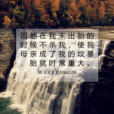 Picture 07 - 耶 利 米 书 20:17 CUVS - 因 他 在 我 未 出 胎 的 时 候 不 杀 - Bible Verse Picture