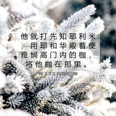 Picture 07 - 耶 利 米 书 20:2 CUVS - 他 就 打 先 知 耶 利 米 ， 用 耶 和 - Bible Verse Picture
