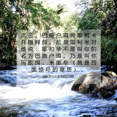 Picture 07 - 耶 利 米 书 20:3 CUVS - 次 日 ， 巴 施 户 珥 将 耶 利 米 开 - Bible Verse Picture