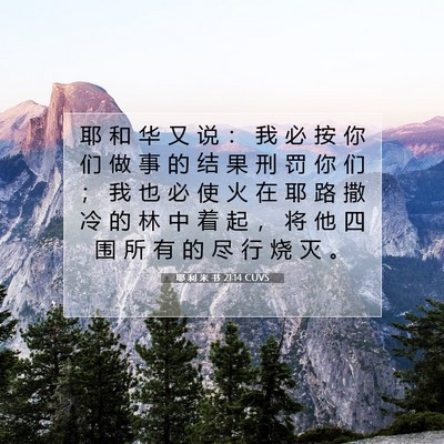 Picture 07 - 耶 利 米 书 21:14 CUVS - 耶 和 华 又 说 ： 我 必 按 你 们 做 - Bible Verse Picture
