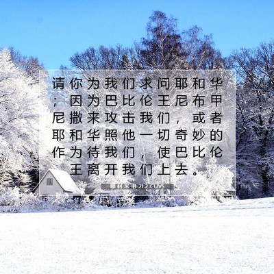 Picture 07 - 耶 利 米 书 21:2 CUVS - 请 你 为 我 们 求 问 耶 和 华 ； 因 - Bible Verse Picture