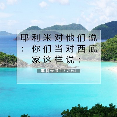 Picture 07 - 耶 利 米 书 21:3 CUVS - 耶 利 米 对 他 们 说 ： 你 们 当 对 - Bible Verse Picture