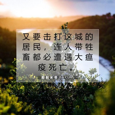 Picture 07 - 耶 利 米 书 21:6 CUVS - 又 要 击 打 这 城 的 居 民 ， 连 人 - Bible Verse Picture