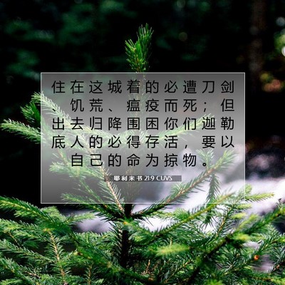 Picture 07 - 耶 利 米 书 21:9 CUVS - 住 在 这 城 着 的 必 遭 刀 剑 、 饥 - Bible Verse Picture
