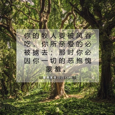 Picture 07 - 耶 利 米 书 22:22 CUVS - 你 的 牧 人 要 被 风 吞 吃 ， 你 所 - Bible Verse Picture