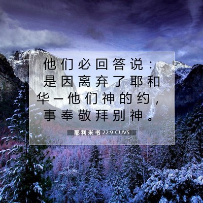 Picture 07 - 耶 利 米 书 22:9 CUVS - 他 们 必 回 答 说 ： 是 因 离 弃 了 - Bible Verse Picture