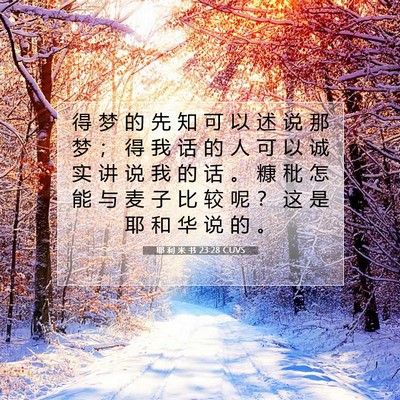 Picture 07 - 耶 利 米 书 23:28 CUVS - 得 梦 的 先 知 可 以 述 说 那 梦 ； - Bible Verse Picture