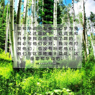 Picture 07 - 耶 利 米 书 23:32 CUVS - 耶 和 华 说 ： 那 些 以 幻 梦 为 预 - Bible Verse Picture