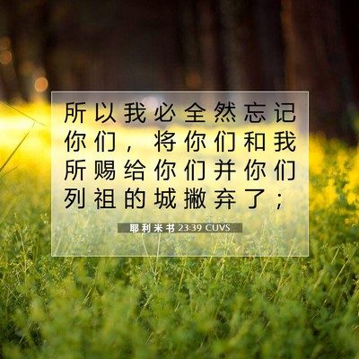 Picture 07 - 耶 利 米 书 23:39 CUVS - 所 以 我 必 全 然 忘 记 你 们 ， 将 - Bible Verse Picture