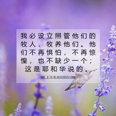 Picture 07 - 耶 利 米 书 23:4 CUVS - 我 必 设 立 照 管 他 们 的 牧 人 ， - Bible Verse Picture