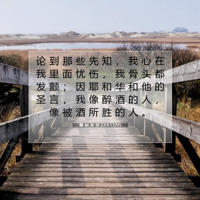 Picture 07 - 耶 利 米 书 23:9 CUVS - 论 到 那 些 先 知 ， 我 心 在 我 里 - Bible Verse Picture