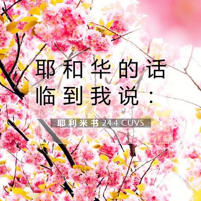 Picture 07 - 耶 利 米 书 24:4 CUVS - 耶 和 华 的 话 临 到 我 说 - Bible Verse Picture