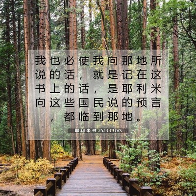 Picture 07 - 耶 利 米 书 25:13 CUVS - 我 也 必 使 我 向 那 地 所 说 的 话 - Bible Verse Picture
