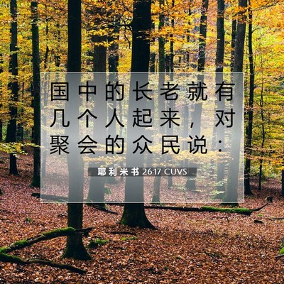 Picture 07 - 耶 利 米 书 26:17 CUVS - 国 中 的 长 老 就 有 几 个 人 起 来 - Bible Verse Picture