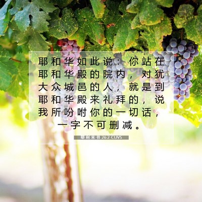 Picture 07 - 耶 利 米 书 26:2 CUVS - 耶 和 华 如 此 说 ： 你 站 在 耶 和 - Bible Verse Picture