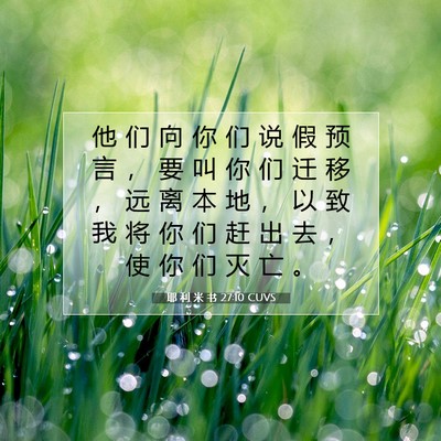 Picture 07 - 耶 利 米 书 27:10 CUVS - 他 们 向 你 们 说 假 预 言 ， 要 叫 - Bible Verse Picture