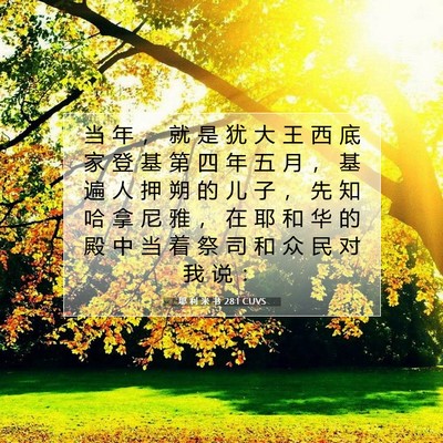 Picture 07 - 耶 利 米 书 28:1 CUVS - 当 年 ， 就 是 犹 大 王 西 底 家 登 - Bible Verse Picture