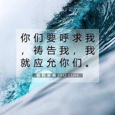 Picture 07 - 耶 利 米 书 29:12 CUVS - 你 们 要 呼 求 我 ， 祷 告 我 ， 我 - Bible Verse Picture