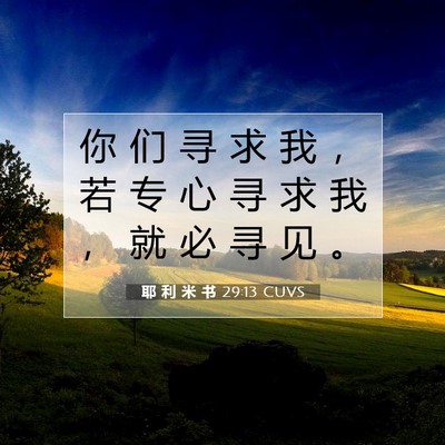 Picture 07 - 耶 利 米 书 29:13 CUVS - 你 们 寻 求 我 ， 若 专 心 寻 求 我 - Bible Verse Picture
