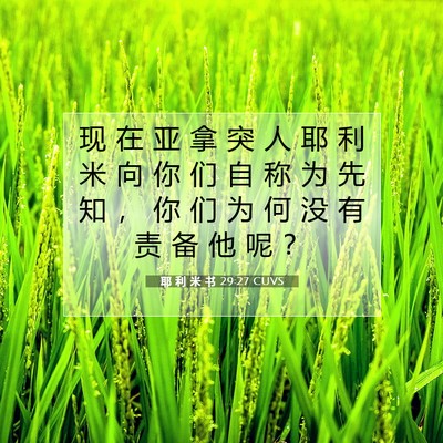 Picture 07 - 耶 利 米 书 29:27 CUVS - 现 在 亚 拿 突 人 耶 利 米 向 你 们 - Bible Verse Picture