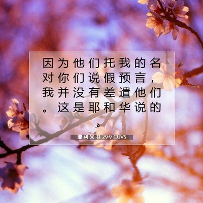 Picture 07 - 耶 利 米 书 29:9 CUVS - 因 为 他 们 托 我 的 名 对 你 们 说 - Bible Verse Picture