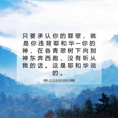 Picture 07 - 耶 利 米 书 3:13 CUVS - 只 要 承 认 你 的 罪 孽 ， 就 是 你 - Bible Verse Picture