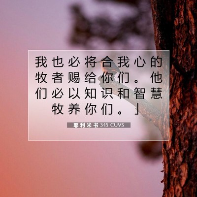 Picture 07 - 耶 利 米 书 3:15 CUVS - 我 也 必 将 合 我 心 的 牧 者 赐 给 - Bible Verse Picture