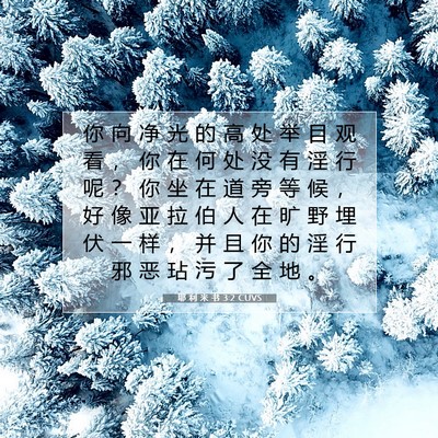 Picture 07 - 耶 利 米 书 3:2 CUVS - 你 向 净 光 的 高 处 举 目 观 看 ， - Bible Verse Picture