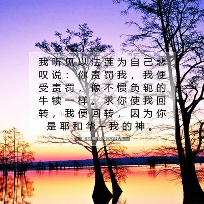 Picture 07 - 耶 利 米 书 31:18 CUVS - 我 听 见 以 法 莲 为 自 己 悲 叹 说 - Bible Verse Picture