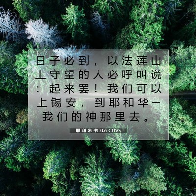 Picture 07 - 耶 利 米 书 31:6 CUVS - 日 子 必 到 ， 以 法 莲 山 上 守 望 - Bible Verse Picture