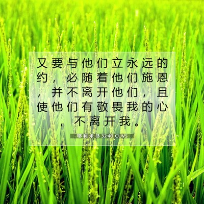 Picture 07 - 耶 利 米 书 32:40 CUVS - 又 要 与 他 们 立 永 远 的 约 ， 必 - Bible Verse Picture
