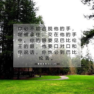 Picture 07 - 耶 利 米 书 34:3 CUVS - 你 必 不 能 逃 脱 他 的 手 ， 定 被 - Bible Verse Picture