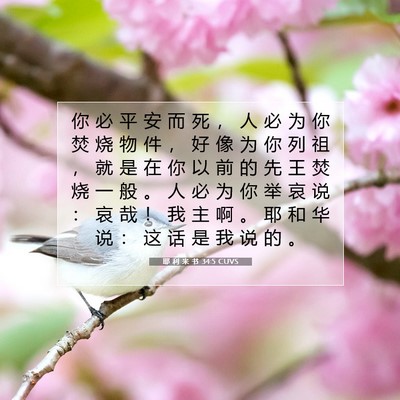 Picture 07 - 耶 利 米 书 34:5 CUVS - 你 必 平 安 而 死 ， 人 必 为 你 焚 - Bible Verse Picture