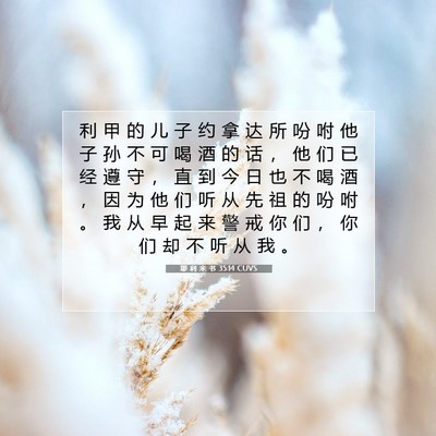 Picture 07 - 耶 利 米 书 35:14 CUVS - 利 甲 的 儿 子 约 拿 达 所 吩 咐 他 - Bible Verse Picture
