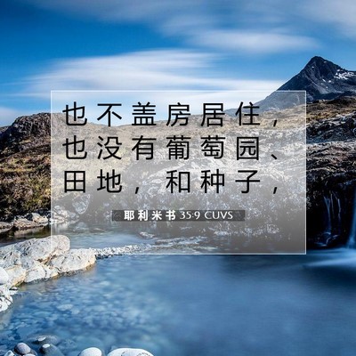 Picture 07 - 耶 利 米 书 35:9 CUVS - 也 不 盖 房 居 住 ， 也 没 有 葡 萄 - Bible Verse Picture