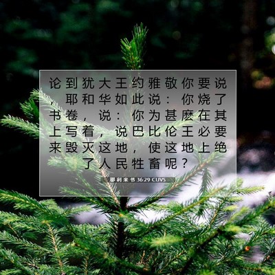 Picture 07 - 耶 利 米 书 36:29 CUVS - 论 到 犹 大 王 约 雅 敬 你 要 说 ， - Bible Verse Picture