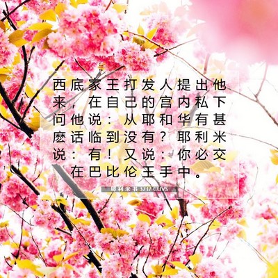 Picture 07 - 耶 利 米 书 37:17 CUVS - 西 底 家 王 打 发 人 提 出 他 来 ， - Bible Verse Picture