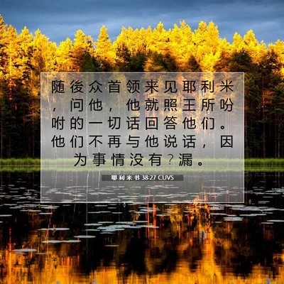Picture 07 - 耶 利 米 书 38:27 CUVS - 随 後 众 首 领 来 见 耶 利 米 ， 问 - Bible Verse Picture